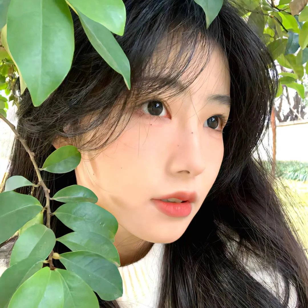 公主复仇者